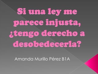 Amanda Murillo Pérez B1A
 