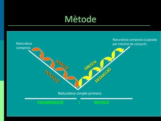 Mètode Naturalesa composta Naturalesa composta (captada per intuïció de conjunt) ANÀLISI SÍNTESI INTUÏCIÓ DEDUCCIÓ Naturalesa simple primera ENUMERACIÓ  i  REVISIÓ 