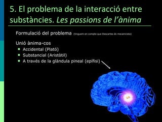 5. El problema de la interacció entre substàncies.  Les passions de l’ànima Formulació del problema   (tinguem en compte que Descartes és mecanicista) Unió ànima-cos Accidental (Plató) Substancial (Aristòtil) A través de la glàndula pineal (epífisi) 