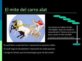El mite del carro alat El cavall blanc es pot dominar i representa les passions nobles El cavall negre és desobedient i representa les males passions L’àuriga és l’ànima, que ha d’aconseguir guiar els dos cavalls Les ànimes es troben al món intel·ligible i quan els cavalls es descontrolen i l’ànima no és prou pura, cauen al món sensible.  La unió de cos i ànima és accidental i temporal 