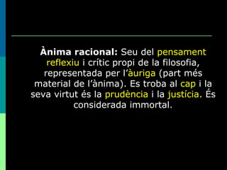 Ànima racional:  Seu del  pensament reflexiu  i crític propi de la filosofia, representada per l’ àuriga  (part més material de l’ànima). Es troba al  cap  i la seva virtut és la  prudència  i la  justícia . És considerada immortal. 