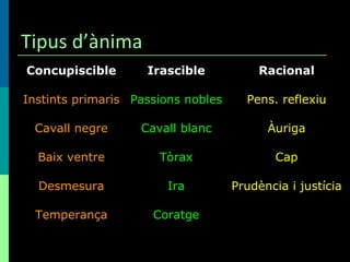Tipus d’ànima Coratge Temperança Prudència i justícia Ira Desmesura Cap Tòrax Baix ventre Àuriga Cavall blanc Cavall negre Pens. reflexiu Passions nobles Instints primaris Racional Irascible Concupiscible 
