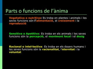 Parts o funcions de l’ànima Vegetativa o nutritiva :  Es troba en plantes i animals i les seves funcions són  l’ alimentació , el  creixement  i la  reproducció Sensitiva o Apetitiva : Es troba en els animals i les seves funcions són la  percepció , el  moviment   local  i el  desig Racional o intel·lectiva : Es troba en els éssers humans i les seves funcions són la  racionalitat , l’ eternitat  i la  voluntat 