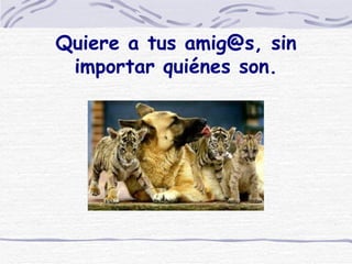 Quiere a tus amig@s, sin importar quiénes son.