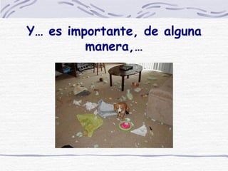 Y… es importante, de alguna manera,…