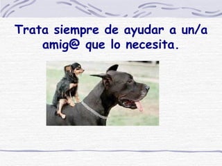 Trata siempre de ayudar a un/a amig@ que lo necesita.