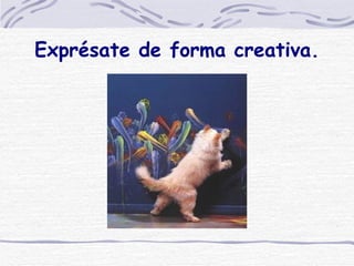 Exprésate de forma creativa.
