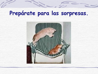 Prepárate para las sorpresas.