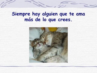 Siempre hay alguien que te ama más de lo que crees.