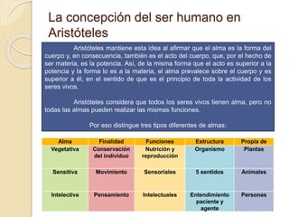 La concepción del ser humano en
Aristóteles
Aristóteles mantiene esta idea al afirmar que el alma es la forma del
cuerpo y, en consecuencia, también es el acto del cuerpo, que, por el hecho de
ser materia, es la potencia. Así, de la misma forma que el acto es superior a la
potencia y la forma lo es a la materia, el alma prevalece sobre el cuerpo y es
superior a él, en el sentido de que es el principio de toda la actividad de los
seres vivos.
Aristóteles considera que todos los seres vivos tienen alma, pero no
todas las almas pueden realizar las mismas funciones.
Por eso distingue tres tipos diferentes de almas:
Alma Finalidad Funciones Estructura Propia de
Vegetativa Conservación
del individuo
Nutrición y
reproducción
Organismo Plantas
Sensitiva Movimiento Sensoriales 5 sentidos Animales
Intelectiva Pensamiento Intelectuales Entendimiento
paciente y
agente
Personas
 