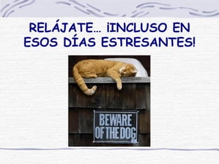 RELÁJATE… ¡INCLUSO EN ESOS DÍAS ESTRESANTES! 