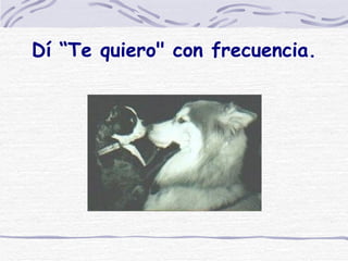 Dí “Te quiero" con frecuencia. 