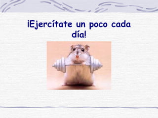¡Ejercítate un poco cada día! 