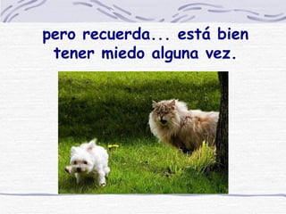 pero recuerda... está bien tener miedo alguna vez. 