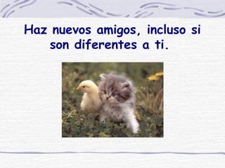 Haz nuevos amigos, incluso si son diferentes a ti.  
