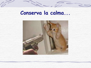 Conserva la calma... 