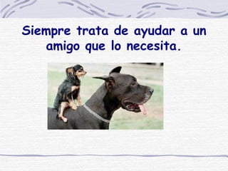Siempre trata de ayudar a un amigo que lo necesita. 