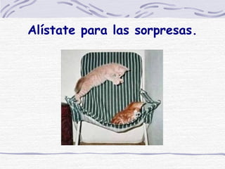 Alístate para las sorpresas. 