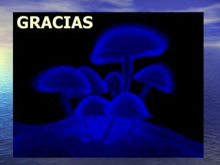 GRACIAS 