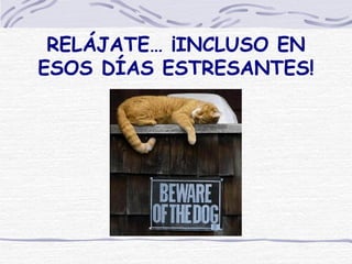 RELÁJATE… ¡INCLUSO EN ESOS DÍAS ESTRESANTES! 