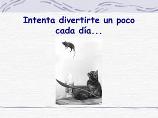 Intenta divertirte un poco cada día... 