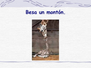 Besa un montón. 