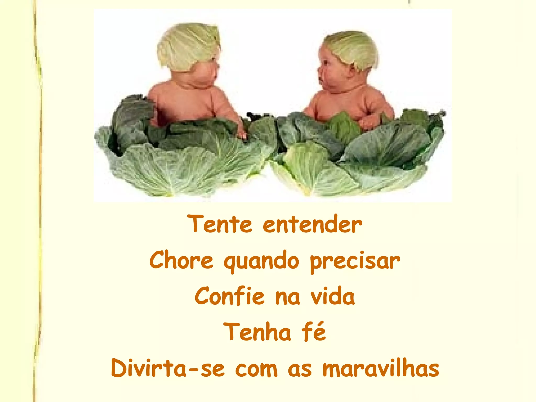 Tente entender Chore quando precisar Confie na vida Tenha fé Divirta-se com as maravilhas