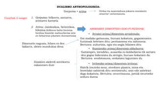 DUALISMO ANTROPOLOGIKOA:
Gorputza + arima Oreka eta zuzentaduna jokaera moralaren
oinarria= zoriontasuna
Gizadiak 2 osagai: 1. Gorputza: hilkorra, zantarra,
arimaren kartzela
2. Arima: Jainkozkoa, betierekoa,
hilezina (hilkorra balitz heriotza
berdina litzateke maltzurkeriaz zein
on beharrean jokatzen duenarentza)
ARIMAREN DIMENTSIO EDO FUNTZIOAK:
• Arrazoi-arima/dimentsio arrazionala:
Goi mailako gaitasuna, buruan kokatuta, gogamenaren
funtzioak betetzen ditu: pentsamena eta nahimena.
Bertutea: zuhurtzia, egia eta ongia bilatzen ditu
• Suminezko arima/dimentsio oldarkorra:
Gaitzespen, mendeku, ausardia eo koldarkeria-tik sortzen
den gogoa bideratzea du zeregin, buruan kokatzen da.
Bertutea: sendotasuna, orekatzen laguntzen du
• Irritsezko arima/dimentsio irritsua:
Bizirik irauteko sena, otorduen plazera, mina eta
bestelako nahierak ditu sentimendu, soin edo sabelean
dago kokatuta. Bertutea: neurritasuna, joerak neurtzeko
ardura duena
Dimenstio nagusia, hilzen ez den
bakarra, ideien mundukoa dena
Gizakien akderdi sentikorra
eskaintzen dute
 