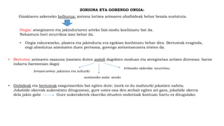 ZORIONA ETA GORENGO ONGIA:
• Bertutea: arimaren osasuna (osatzen duten zatiak dagokien moduan eta zereginetan aritzen direnean: barne
indarra harmonian dago)
Gizakiaren azkeneko helburua: zoriona lortzea arimaren ahalbideak behar bezala sustatuta.
Ongia: atseginaren eta jakinduriaren arteko bizi-modu konbinatu bat da.
Nahastura hori neurrikoa izan behar da.
• Ongia eskuratzeko, plazera eta jakinduria era egokian konbinatu behar dira. Bertuteak eraginda,
ongi absolutua atzematen duen pertsona, gorengo zoriontasunera iristen da.
Arrazoi-arima: jakintsu eta zuhurki
suminezko zatia: sendo
irritsezko alderdia: neurritsu.
• Onbideak eta bertuteak ezagutzarekin bat egiten dute: inork ez du maltzurki jokatzen nahita.
Jokabide okerrak aukeratzen ditugunean, gure ustez ona den zerbait egiten ari gara, jokabide okerra
dela jakin gabe Gure aukeraketek ekarriko zituzten ondorioak kontuan hartu ez ditugulako.
 