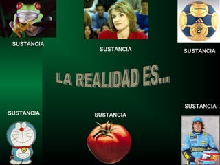 SUSTANCIA
SUSTANCIA
SUSTANCIA
SUSTANCIA
SUSTANCIA
SUSTANCIA
 