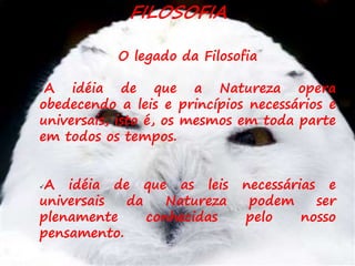 14
FILOSOFIA
O legado da Filosofia
A idéia de que a Natureza opera
obedecendo a leis e princípios necessários e
universais, isto é, os mesmos em toda parte
em todos os tempos.
A idéia de que as leis necessárias e
universais da Natureza podem ser
plenamente conhecidas pelo nosso
pensamento.
 