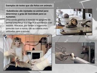 Exemplos de testes que são feitos em animais:
•Substâncias são injetadas no animal para
determinar o grau de toxicidade para os
humanos.
Uma sonda gástrica é inserida na garganta do
animal para forçá-lo a ingerir a substância a ser
testada. Macacos, por terem o organismo
parecido com o nosso, são os cobaias mais
utilizados para o estudo.
 
