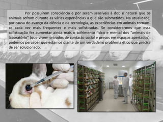 Por possuírem consciência e por serem sensíveis à dor, é natural que os
animais sofram durante as várias experiências a que são submetidos. Na atualidade,
por causa do avanço da ciência e da tecnologia, as experiências em animais tornam-
se cada vez mais frequentes e mais sofisticadas. Se considerarmos que essa
sofisticação fez aumentar ainda mais o sofrimento físico e mental dos “animais de
laboratório” (que vivem privados de contacto social e presos em espaços apertados),
podemos perceber que estamos diante de um verdadeiro problema ético que precisa
de ser solucionado.
 