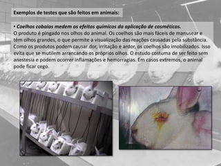 Exemplos de testes que são feitos em animais:
• Coelhos cobaias medem os efeitos químicos da aplicação de cosméticos.
O produto é pingado nos olhos do animal. Os coelhos são mais fáceis de manusear e
têm olhos grandes, o que permite a visualização das reações causadas pela substância.
Como os produtos podem causar dor, irritação e ardor, os coelhos são imobilizados. Isso
evita que se mutilem arrancando os próprios olhos. O estudo costuma de ser feito sem
anestesia e podem ocorrer inflamações e hemorragias. Em casos extremos, o animal
pode ficar cego.
 