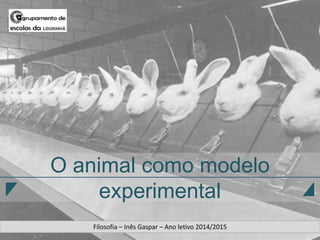 O animal como modelo
experimental
Filosofia – Inês Gaspar – Ano letivo 2014/2015
 
