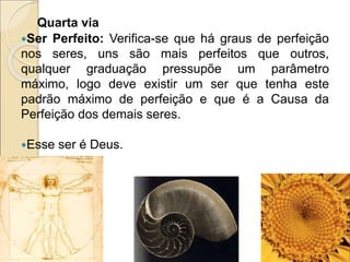 Quarta via
Ser Perfeito: Verifica-se que há graus de perfeição
nos seres, uns são mais perfeitos que outros,
qualquer graduação pressupõe um parâmetro
máximo, logo deve existir um ser que tenha este
padrão máximo de perfeição e que é a Causa da
Perfeição dos demais seres.
Esse ser é Deus.
 