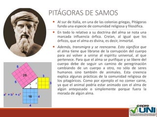 PITÁGORAS DE SAMOS
 Al sur de Italia, en una de las colonias griegas, Pitágoras
funda una especie de comunidad religiosa y filosófica.
 En todo lo relativo a su doctrina del alma se nota una
marcada influencia órfica. Creían, al igual que los
órficos, que el alma es divina, es decir, inmortal.
 Además, transmigra y se reencarna. Esto significa que
el alma tiene que librarse de la corrupción del cuerpo
para así volver a unirse al espíritu universal, al que
pertenece. Para que el alma se purifique y se libere del
cuerpo debe de seguir un camino de peregrinación
cambiando de un cuerpo a otro, no sólo de seres
humanos sino también de animales. Esta creencia
explica algunas prácticas de la comunidad religiosa de
los pitagóricos. Como por ejemplo el no comer carne,
ya que el animal podría estar animado con el alma de
algún antepasado o simplemente porque fuera la
morada de algún alma.
 