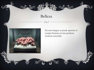 Belleza


  En esta imagen se puede apreciar el
  cuerpo humano, la mas perfecta
  creacion conocida .
 