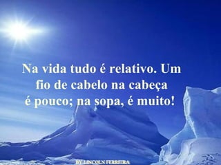 BY LINCOLN FERREIRA  Na vida tudo é relativo. Um fio de cabelo na cabeça é pouco; na sopa, é muito!   
