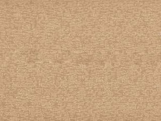 Filosofia comtemporanea