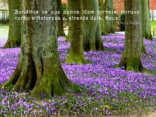 Benditos os que nunca lêem jornais, porque verão a Natureza e, através dela, Deus. Henry Thoreau 