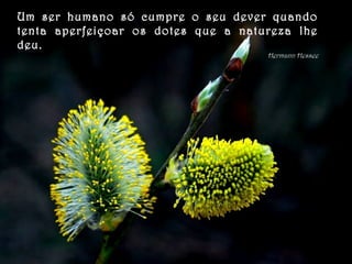 Um ser humano só cumpre o seu dever quando
tenta aperfeiçoar os dotes que a natureza lhe
deu.
Hermann Hessee
 