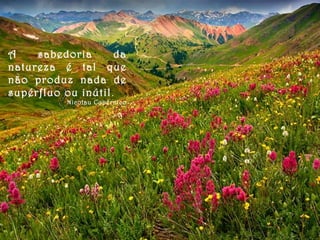 A sabedoria da
natureza é tal que
não produz nada de
supérfluo ou inútil.
Nicolau Copérnico
 