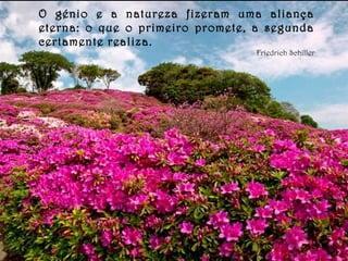 O génio e a natureza fizeram uma aliança
eterna: o que o primeiro promete, a segunda
certamente realiza.
Friedrich Schiller
 