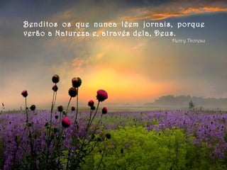 Benditos os que nunca lêem jornais, porque
verão a Natureza e, através dela, Deus.
Henry Thoreau
 