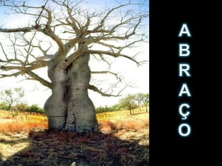 Filosofia da natureza (1)