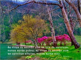 Se vives de acordo com as leis da natureza,
nunca serás pobre; se vives de acordo com
as opiniões alheias, nunca serás rico.
Séneca
 
