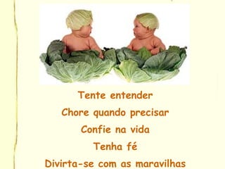 Tente entender
Chore quando precisar
Confie na vida
Tenha fé
Divirta-se com as maravilhas
 