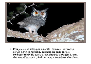 •  Coruja	
  é	
  a	
  ave	
  soberana	
  da	
  noite.	
  Para	
  muitos	
  povos	
  a	
  
coruja	
  signiﬁca	
  mistério,	
  inteligência,	
  sabedoria	
  e	
  
conhecimento.	
  Ela	
  tem	
  a	
  capacidade	
  de	
  enxergar	
  através	
  
da	
  escuridão,	
  conseguindo	
  ver	
  o	
  que	
  os	
  outros	
  não	
  vêem.	
  

 