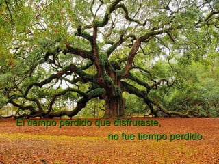 El tiempo perdido que disfrutaste, no fue tiempo perdido. 